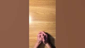 What Should You Major In?