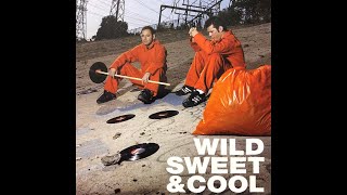 The Crystal Method - Wild Sweet &amp; Cool (A.Llison D.Resden D.Uo Ritalin Method Remix)