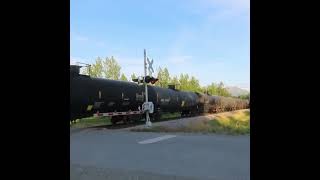 Northbound Freight with BNSF boxcar #alaskarailroad #bnsf #train #railfan #railroad #trainspotting