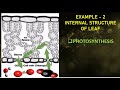 The Dynamics of Diffusion in Living Organisms