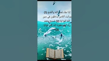 سورة النصر تلاوة خاشعة القرآن الكريم