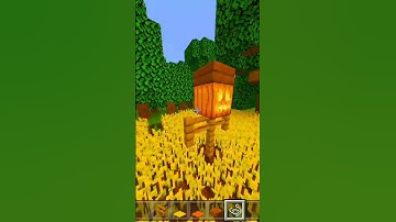 How To Make SCARECROW in Minecraft #shorts