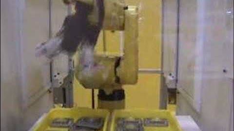 Methods Machine Tools Fanuc Robodrill and Robot Using Vision