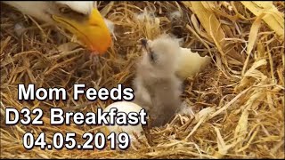 Decorah Eagles-Mom Catches A Fish For D32's Breakfast 04.05.2019