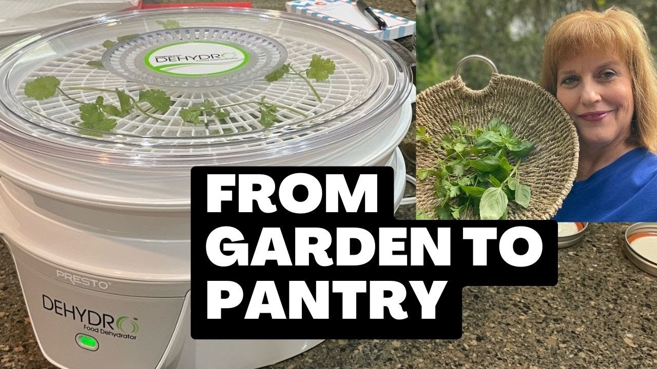 Dehydrating Herbs in my New Dehydrator! - Grandma's Little Gardens