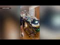 Pasco County Boy Hit by Two Vehicles Now in Skilled Nursing Facility