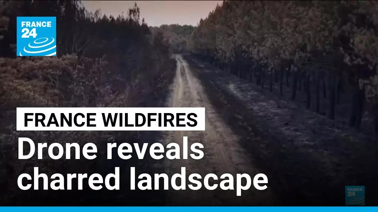 Drone reveals charred forest landscape after wildfires scorch France • FRANCE 24 English