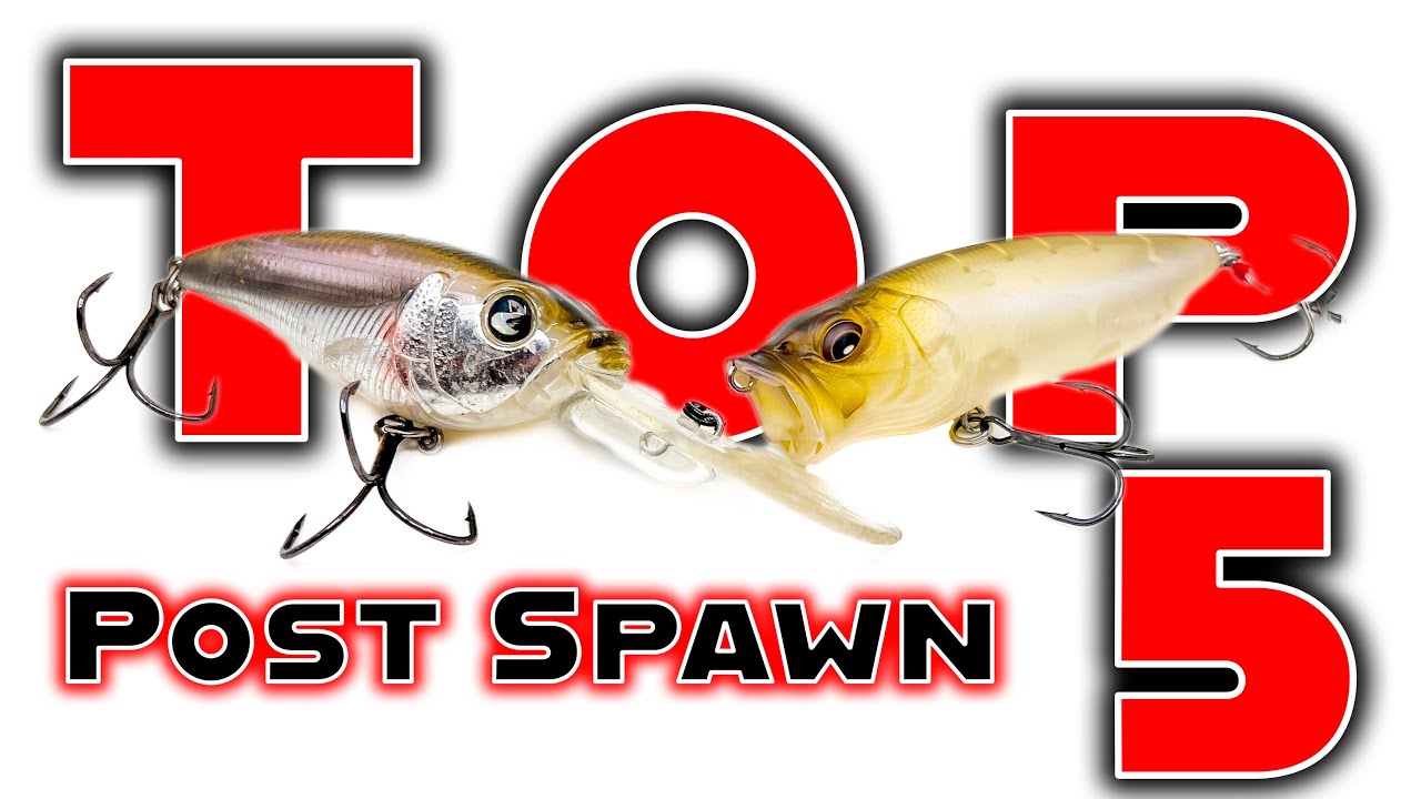 Top Baits For Post Spawn Bass Fishing (May and June) 