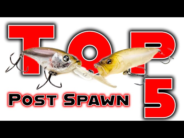 Top Baits For Post Spawn Bass Fishing (May and June) 