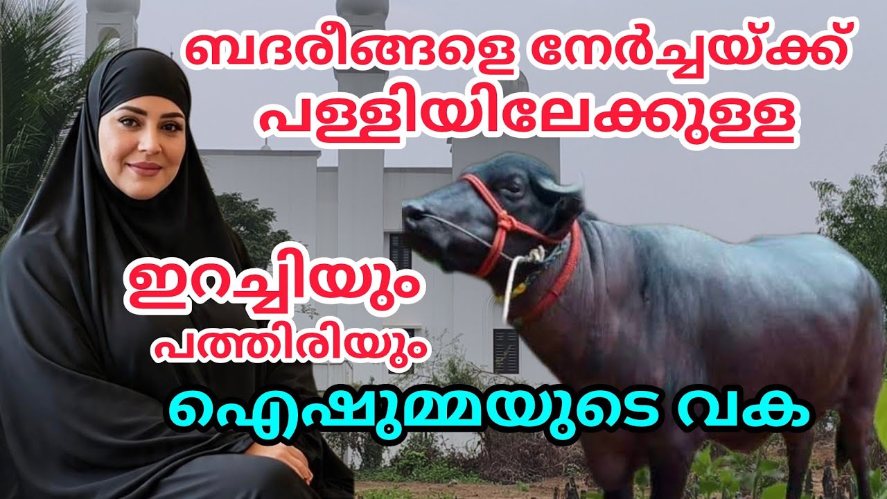 ബദ്രീങ്ങളുടെ നേർച്ചക്ക് ഐഷുമ്മയുടെ വക പള്ളിയിലേക്കുള്ള ഇറച്ചിയും പത്തിരിയും#nusaiba#islamicstory