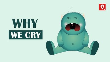 Why do we cry? The three types of tears, Interesting Facts about crying.