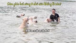Cảm giác bơi cùng 9 chú chó nhà Củ Cải sẽ như thế nào? Tìm ra truyền nhân của Củ Cải