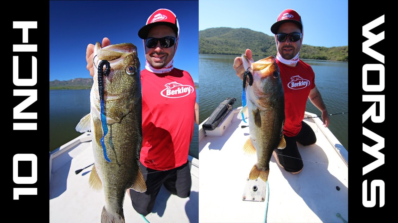 Fishing 10inch Worms in the Summer for Big Bass YouTube