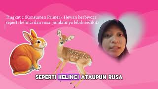 PIRAMIDA JUMLAH EKOSISTEM DARAT | BIOLOGI KELAS X 2025