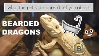 What the pet store doesn