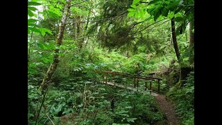 Native Plants of the Olympic Peninsula A slide show with the Olympic Chapter