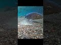 #fishing