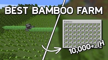 Best Bamboo Farm Minecraft 1.21.10 - 10,000 per Hour!