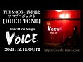 DUDE TONE「親不孝通りを抜け」試聴