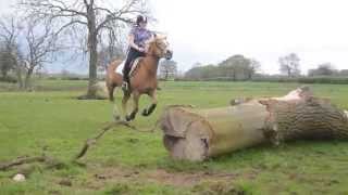 Buffy Jumping