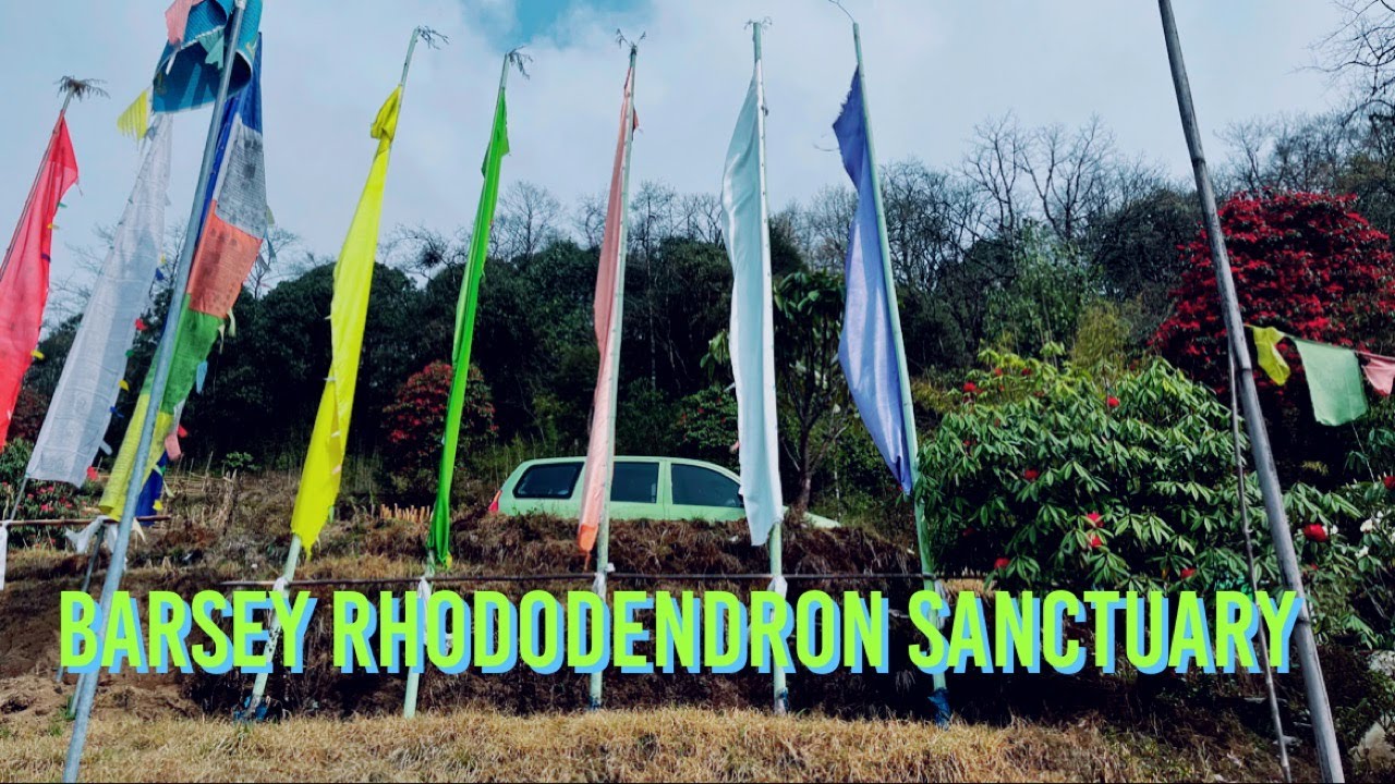 BARSEY RHODODENDRON SANCTUARY