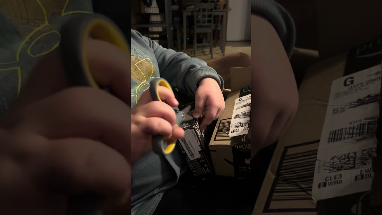 Hammond bayby triceratops take 1