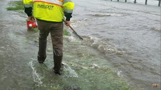 Draining Major Street Flooding, Multi Street Flood Caused By Beaver Clogged Culvert Uncut