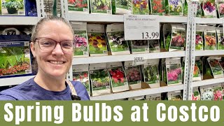 Costco  Spring Bulbs, Bare Roots, & Tubers!  ||  What They Have, What I've Grown, & What I Bought!