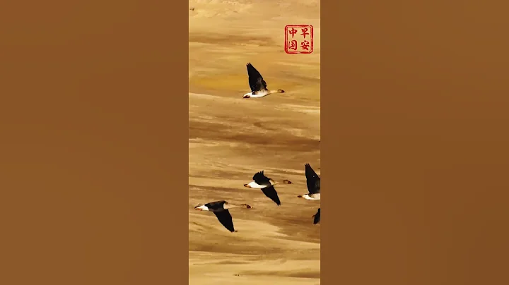 Chifeng awaits, ready to enchant you - DayDayNews