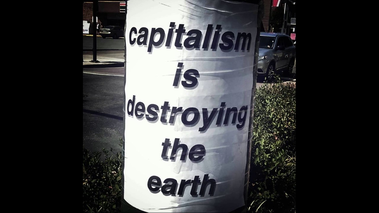 Harry The Loser- 2) Blue Lives Murder