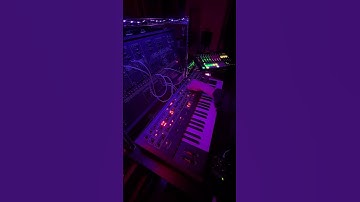 ARP 2600 × Prophet-6 × MC-707 machine live #ARP #KORG #sequential #Roland #synthesizer #techno