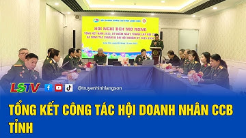 Tổng kết công tác Hội Doanh nhân Cựu chiến binh tỉnh | LSTV