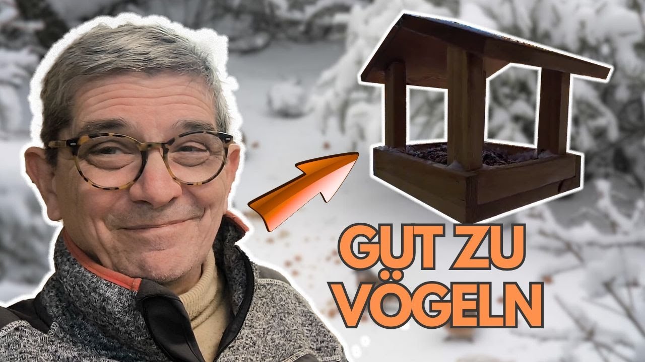 Futterstation für Wildvögel selber bauen | Lecker Steak Pie Rezept