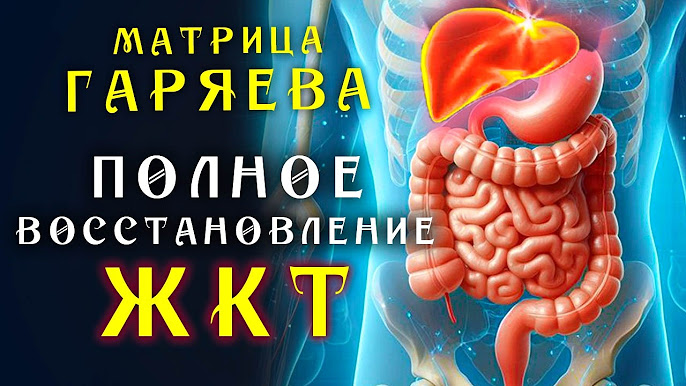 Мощная матрица гаряева жкт. Мощная матрица гаряева жкт