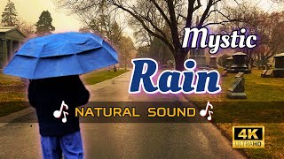 Heavy Rain Walk in Lonely Cemetery / Natural Rain Sound for Sleep Study Meditation Tinnitus relief