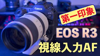 【カメラ】EOS R3の視線入力AFを初めて使ってみた感想！キャリブレーション重ねがけで精度UP