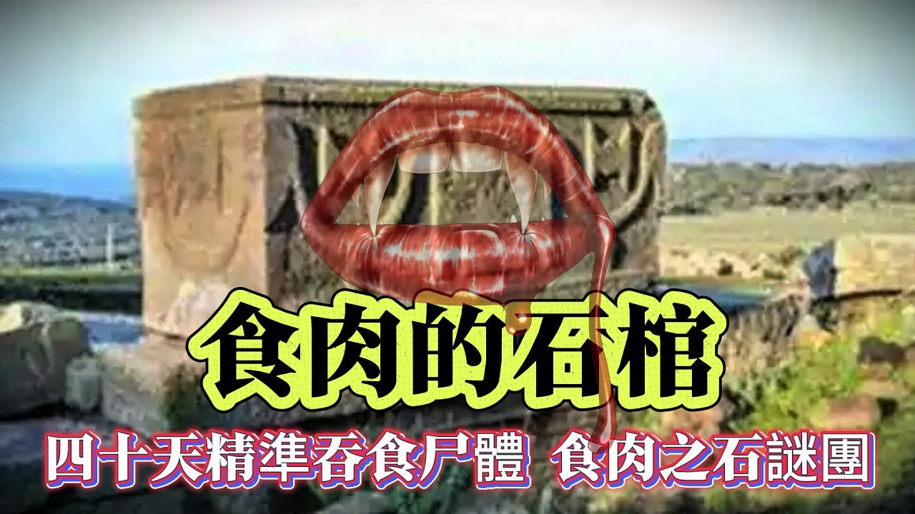 【探索未解之謎】| 食肉的石棺！四十天時間，精準吞食尸體，破解食肉之石的神秘謎團！ #案件解說 #真實故事 #未解之謎 #懸案破解 #懸案密碼 #懸案調查 #未解之謎