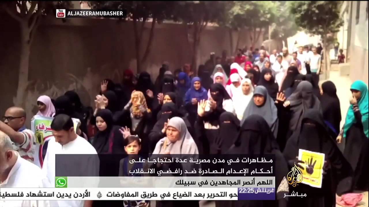 مظاهرات في مصر احتجاجا على أحكام الإعدام ضد رافضي الانقلاب