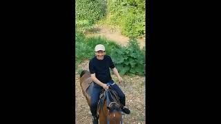 #rek Конные экскурсии