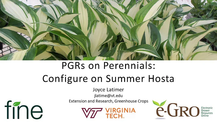 PGRs on Perennials   Configure on Summer Hosta