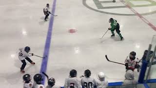 IMG 7441