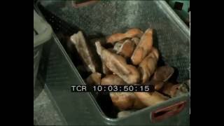 Full Il lavoro del fornaio News