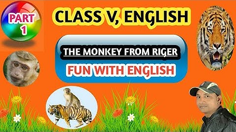 The Monkey from Riger, Class 5th english chapter 1, odia medium ( BSE), #STUDYLENCE.