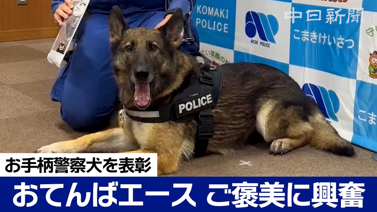 おてんば警察犬「リンダ」がまたもお手柄！ 豚肉ジャーキーのご褒美に