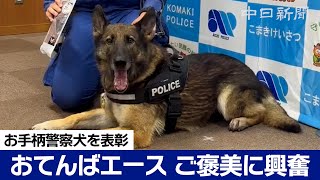 おてんば警察犬「リンダ」がまたもお手柄！ 豚肉ジャーキーのご褒美に