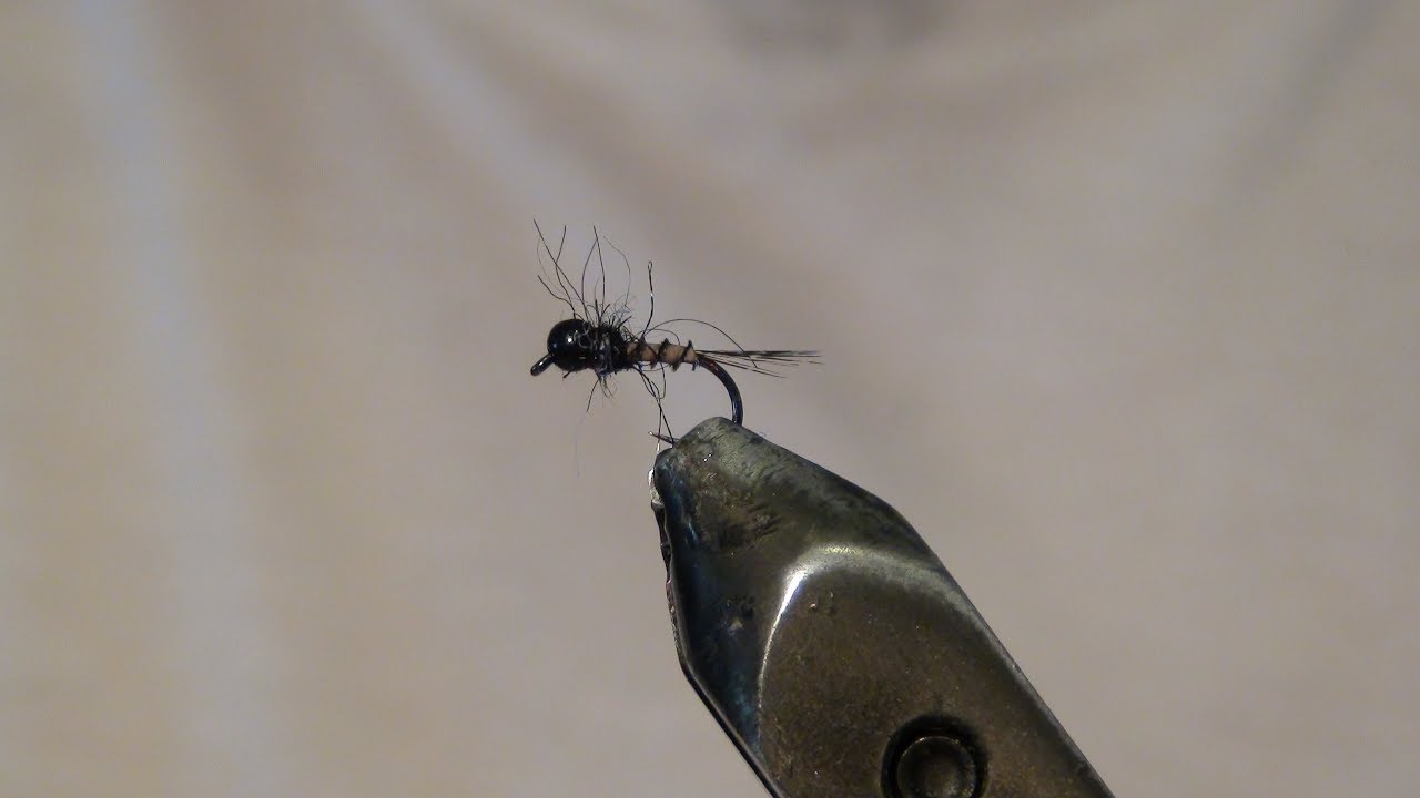 Une nymphe exceptionnel : l'obscure Une nymphe exceptionnel : l'obscure