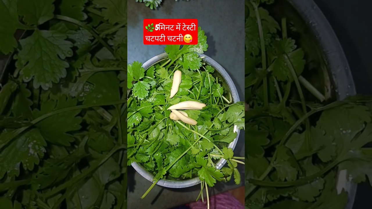 Tazi Hari Dhaniya Chutney Recipe 🌿 | Simple & Healthy 