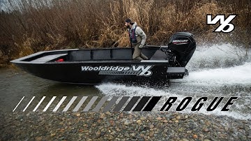 Meet the Rogue! An 18