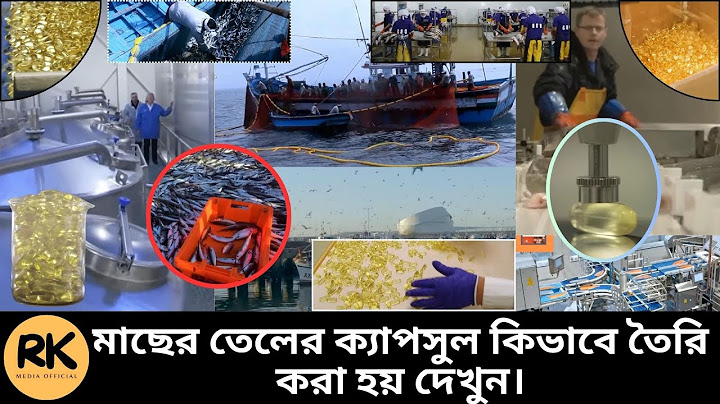 কারখানায় কিভাবে মাছের তেল তৈরি হয় দেখুন। Making Fish Oil | RK Media Official |