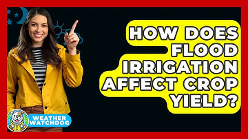 How Does Flood Irrigation Affect Crop Yield? - Weather Watchdog